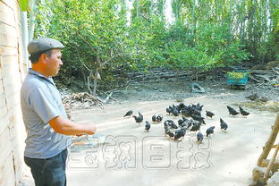 宝武新闻中心