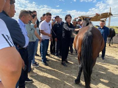 喜报频传展风采，技术培训促振兴——我校教师荣获“自治区先进工作者”荣誉称号，并开展家禽养殖技术培训